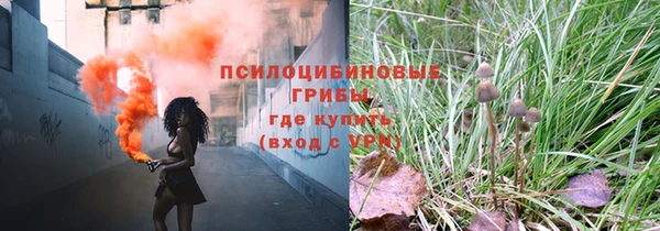 не бодяженный Армянск