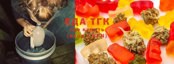 гашик Пестово