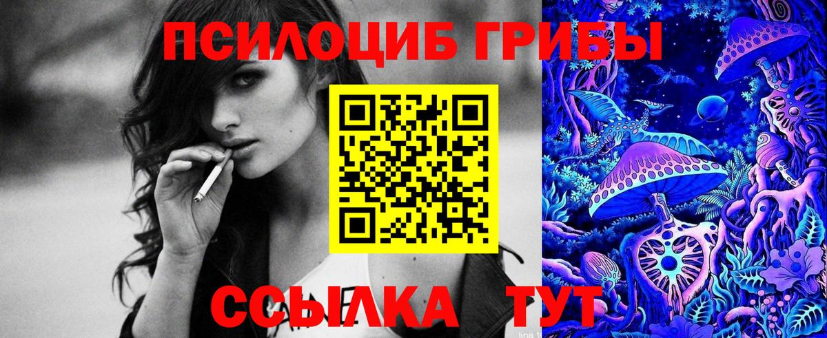 Люберцы  Псилоцибиновые грибы MAGIC MUSHROOMS  Вход с VPN 