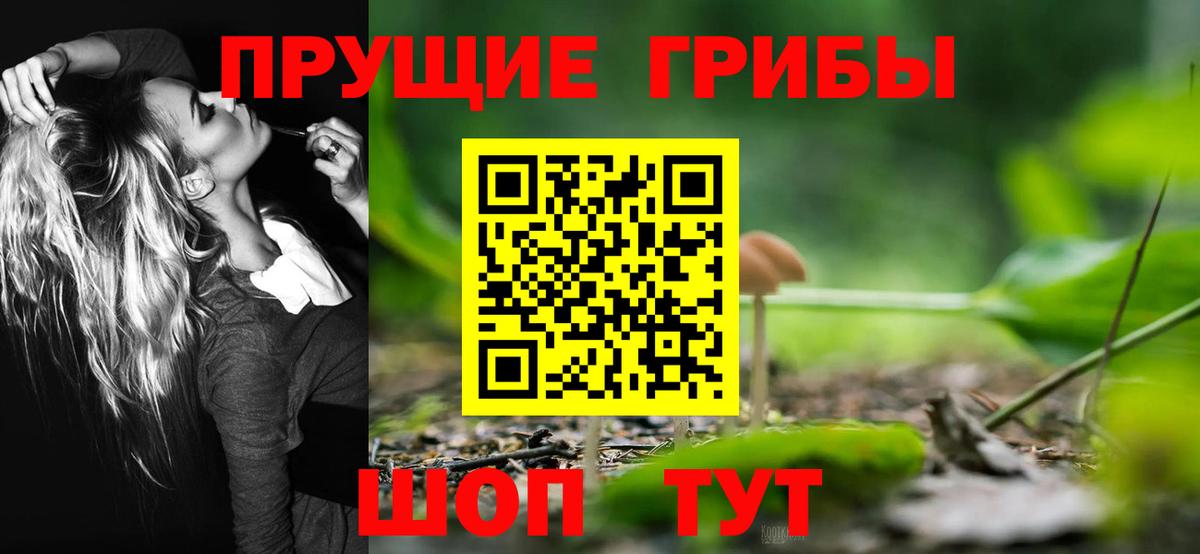 Галлюциногенные грибы Cubensis Люберцы